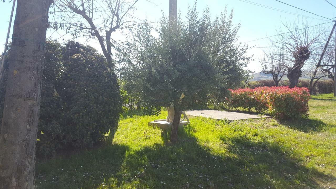 Savignano sul Panaro Casa Selene Rocchiヴィラ エクステリア 写真